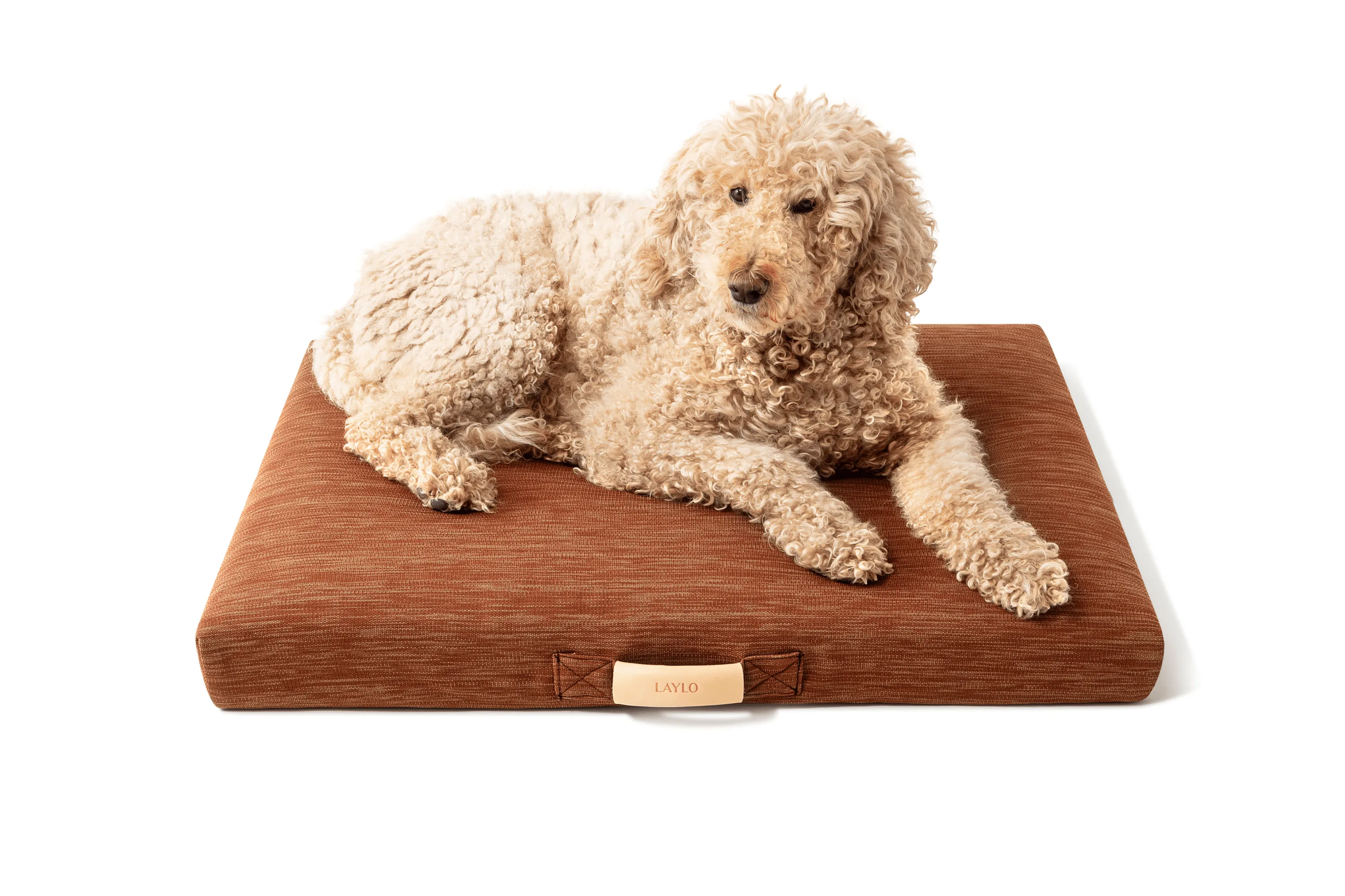 Terra | Modern Dog Bed or Bed Cover