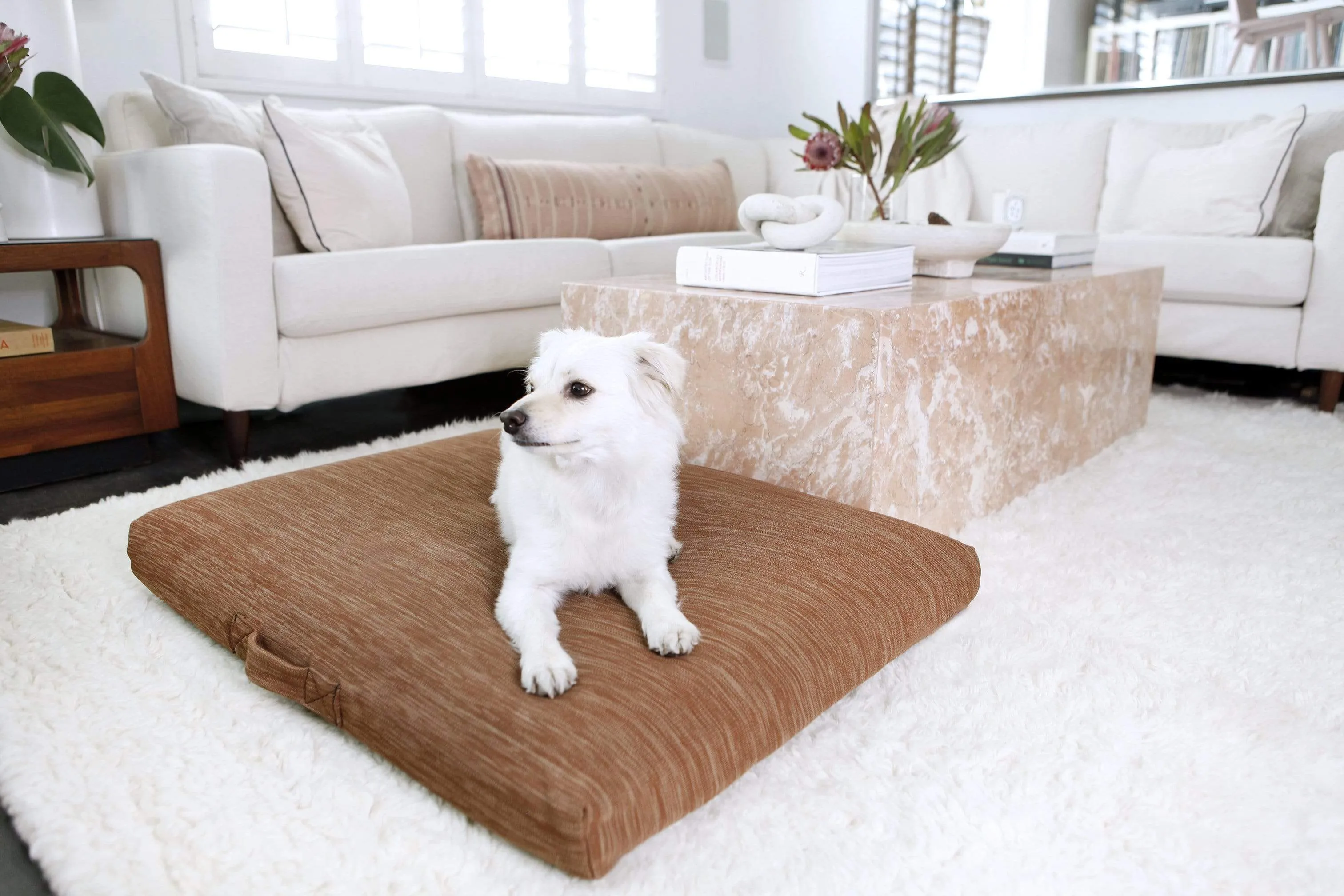 Terra | Modern Dog Bed or Bed Cover