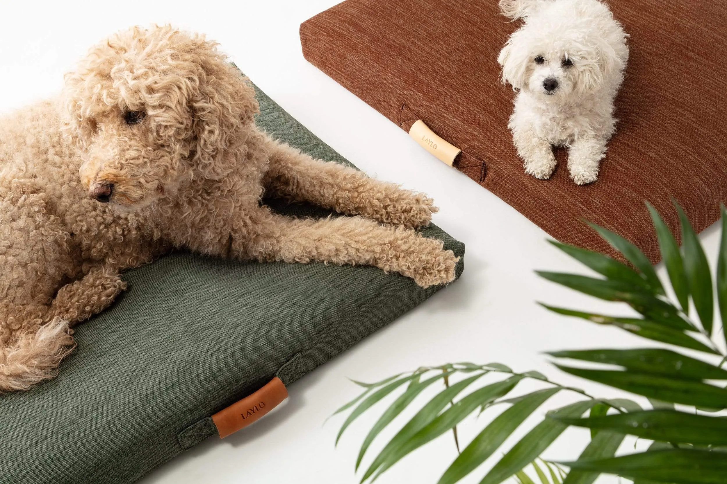 Terra | Modern Dog Bed or Bed Cover