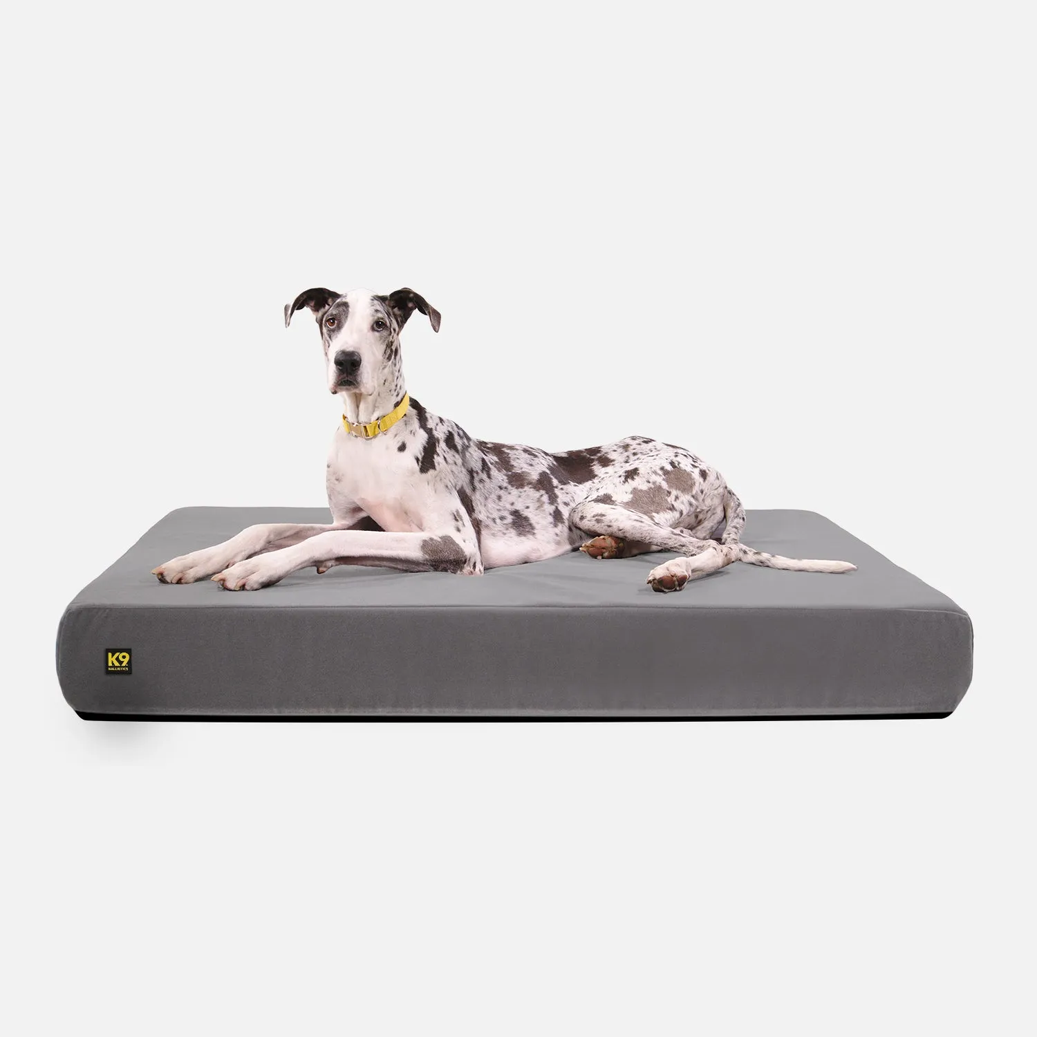 Tough Ripstop™ Giant 7" Rectangle Orthopedic Dog Bed