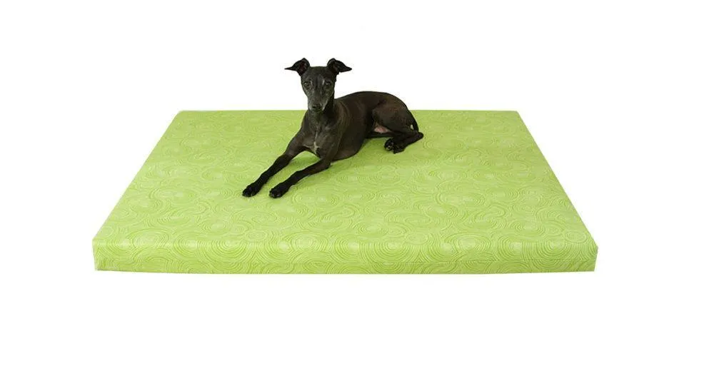 Vita Orthopedic Dog Bed, Lime