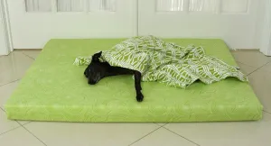 Vita Orthopedic Dog Bed, Lime